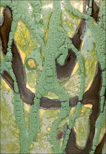 [Print P0813 by Paul J. Katrich - 'The Forest Primeval']